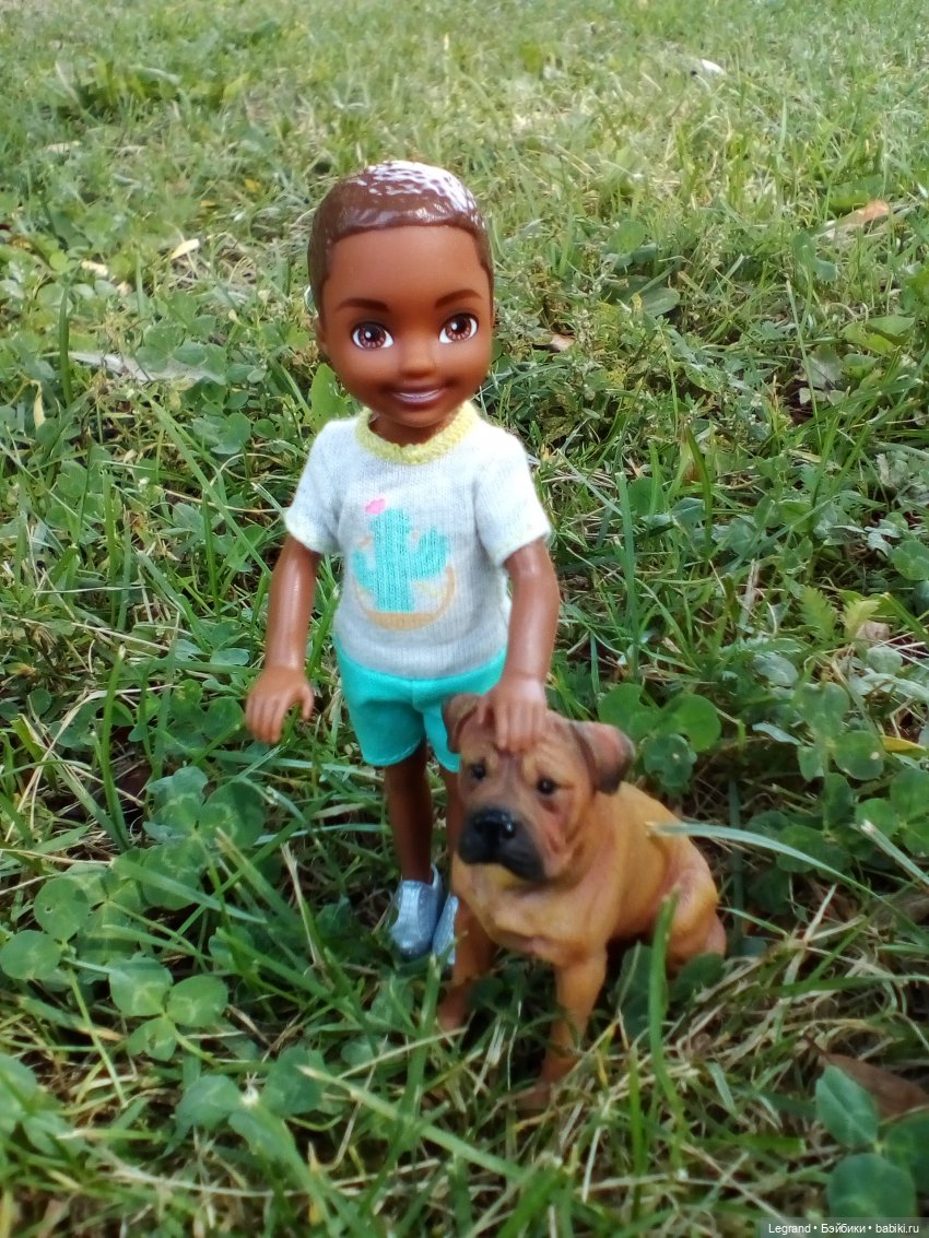 Петербург. Коди и Норд в Таврическом саду