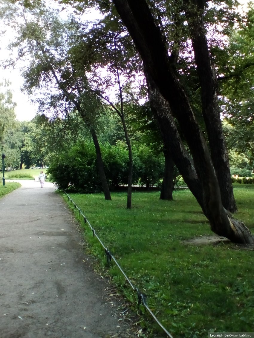 Петербург. Коди и Норд в Таврическом саду (фото 3)