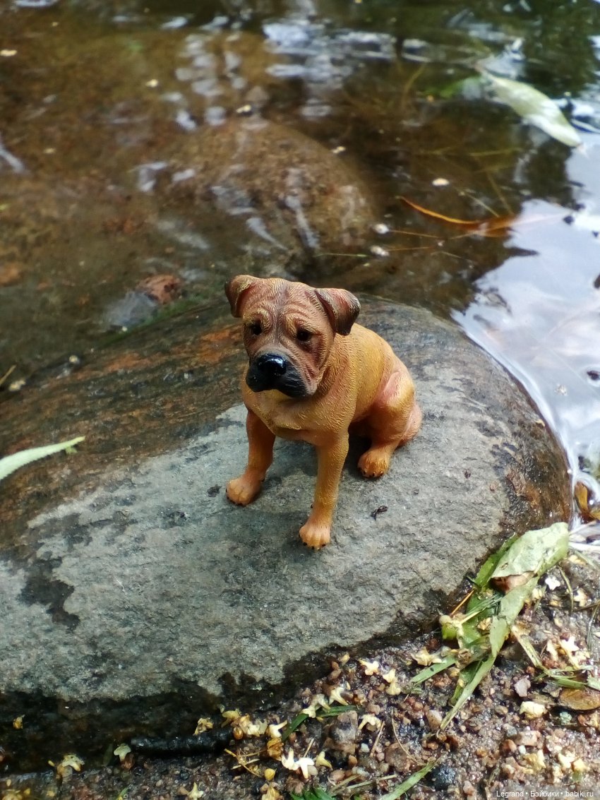 Петербург. Коди и Норд в Таврическом саду