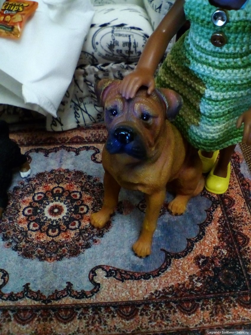 Маленькие луренцы: Коди рассказывает друзьям о прогулке