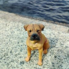 Петербург. Нева. Норд на набережной