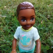 Петербург. Коди и Норд в Таврическом саду