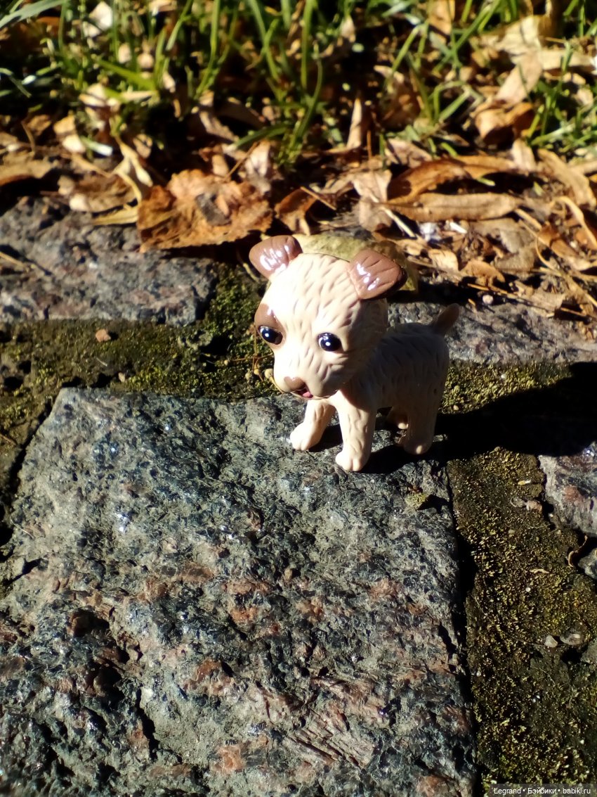 Петербург. Ул.Фурштатская. Мозаичный дворик. Улоф, Милош и Лукум (фото 2)