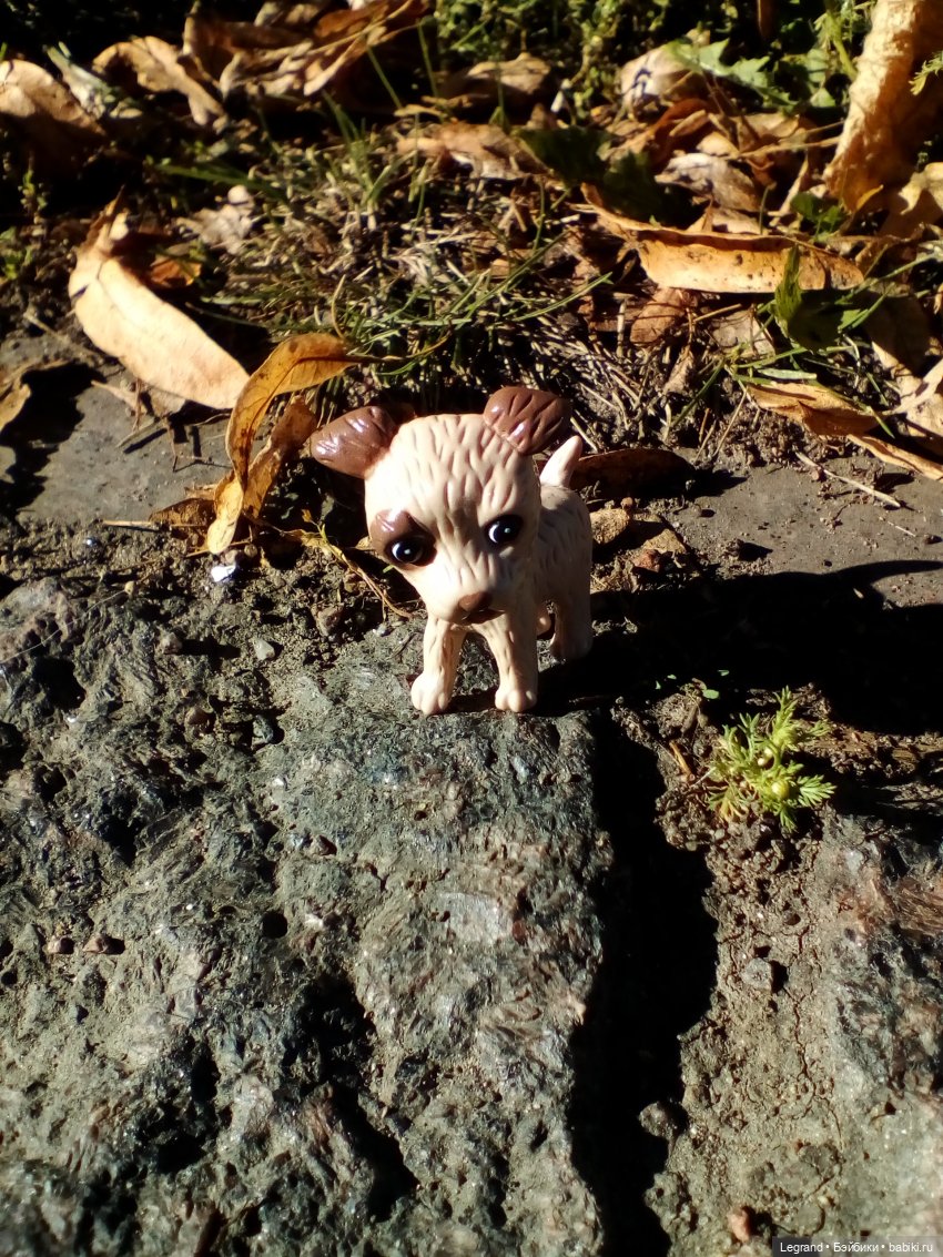 Петербург. Ул.Фурштатская. Мозаичный дворик. Улоф, Милош и Лукум