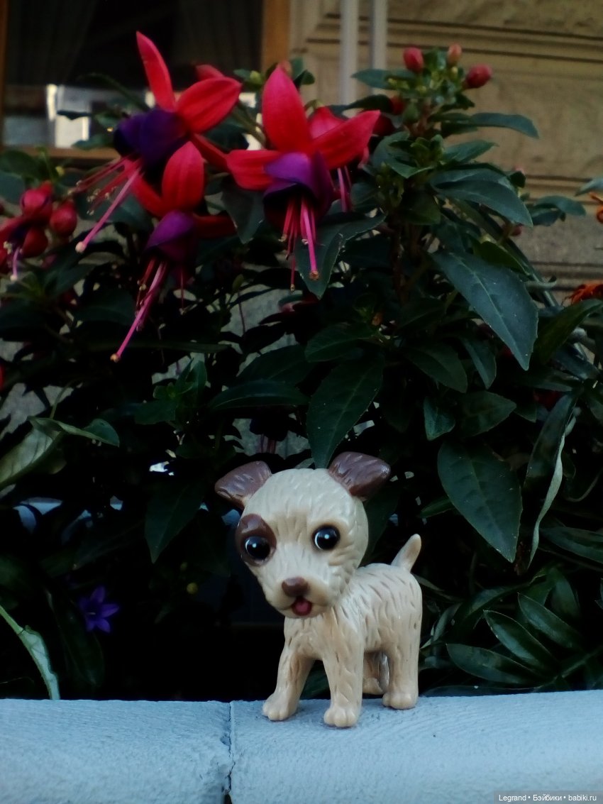 Петербург. Ул.Фурштатская. Мозаичный дворик. Улоф, Милош и Лукум (фото 10)