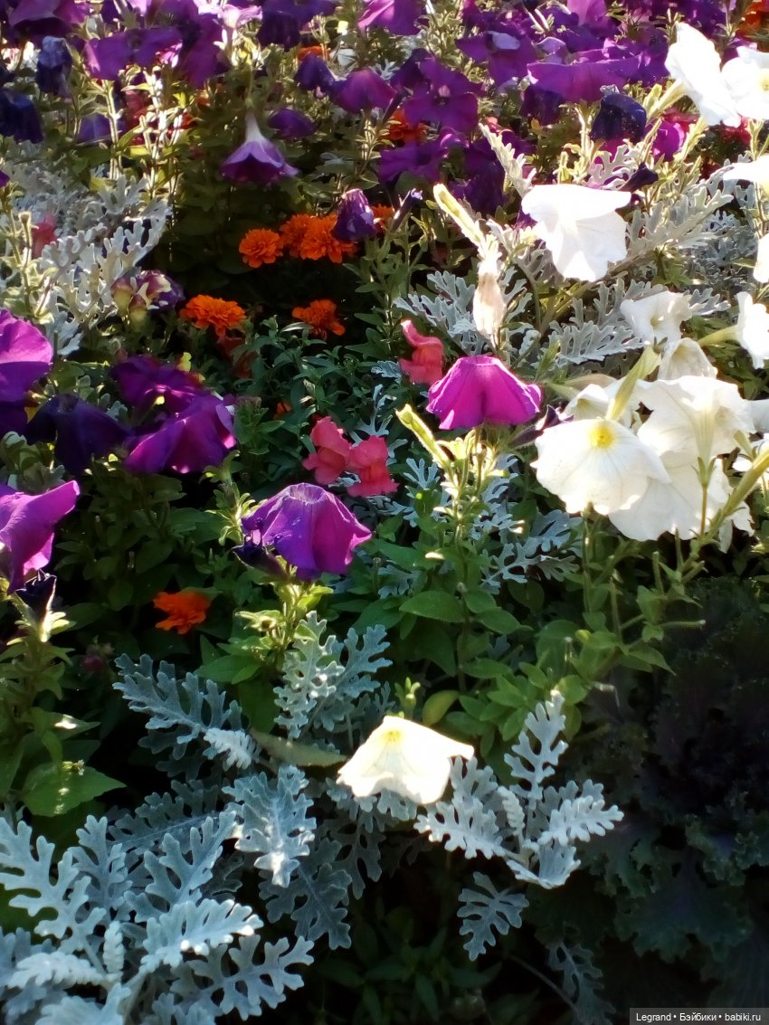 Петербург. Ул.Фурштатская. Мозаичный дворик. Улоф, Милош и Лукум