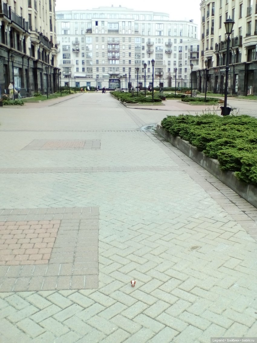 Петербург. Жу-Жу и Мармарис в Парадном квартале. Часть вторая