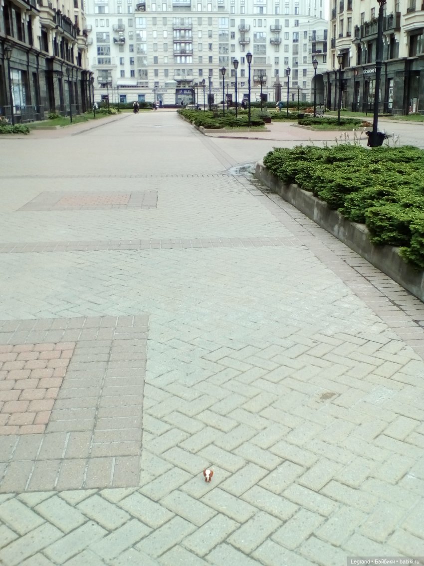 Петербург. Жу-Жу и Мармарис в Парадном квартале. Часть вторая