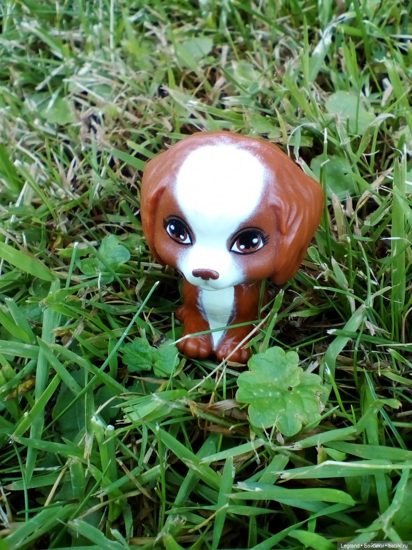 Петербург. Жу-Жу и Мармарис в Парадном квартале. Часть вторая