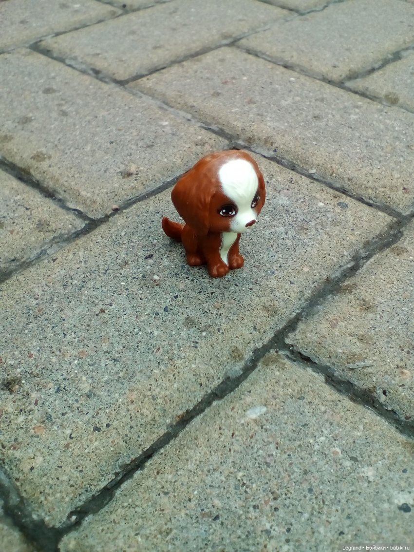 Петербург. Жу-Жу и Мармарис в Парадном квартале. Часть вторая