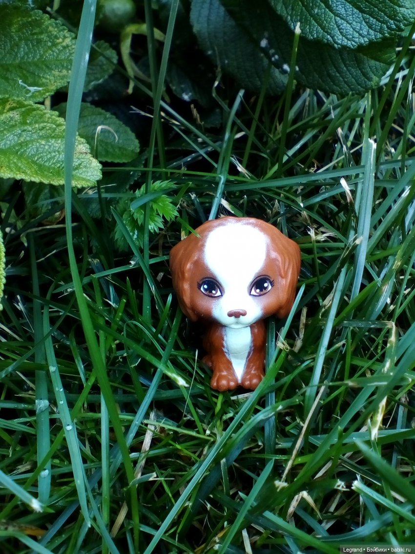 Петербург. Жу-Жу и Мармарис в Парадном квартале. Часть вторая (фото 10)