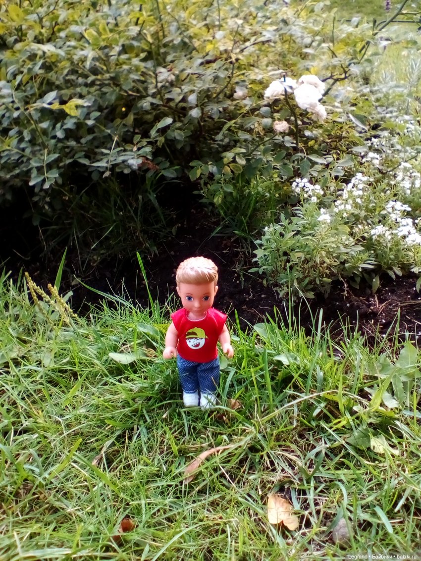 Петербург. Набережная канала Грибоедова. Михайловский сад. Одд-Бьёрн и Орей