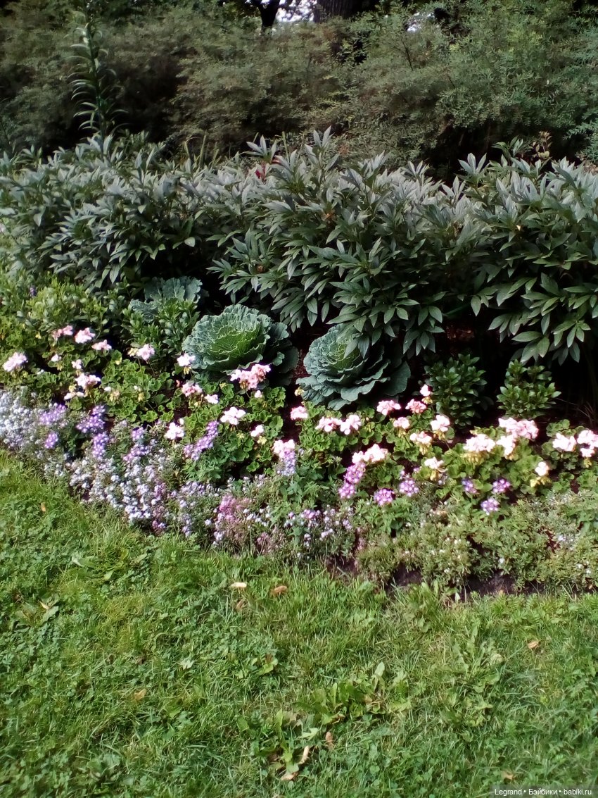Петербург. Набережная канала Грибоедова. Михайловский сад. Одд-Бьёрн и Орей