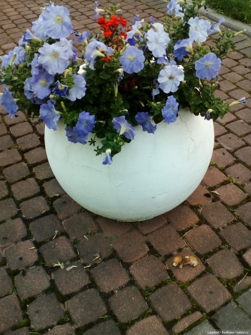 Петербург. Парадный квартал. Астрид и Отто. Часть первая