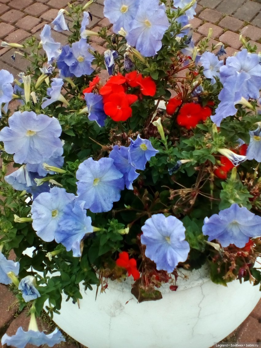 Петербург. Парадный квартал. Астрид и Отто. Часть первая