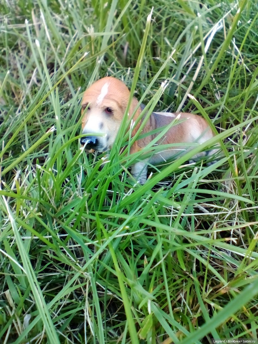 Петербург. Парадный квартал. Астрид и Отто. Часть вторая