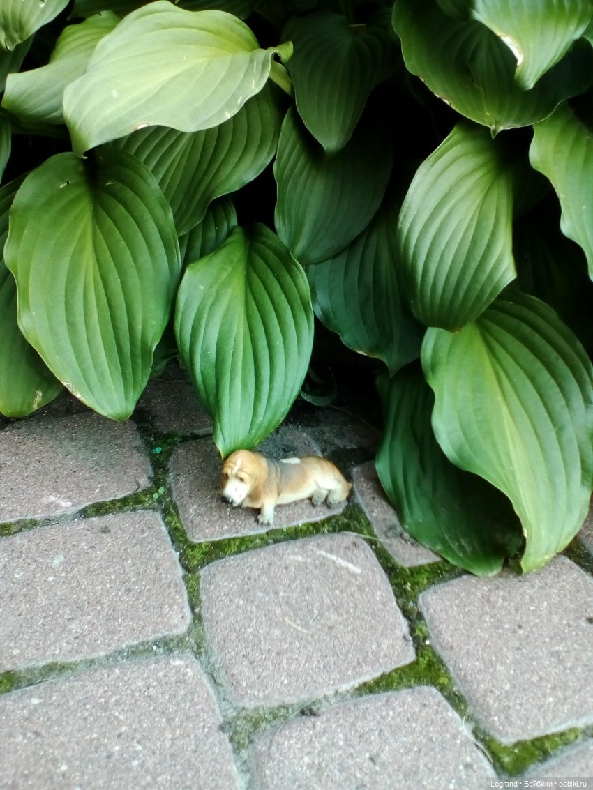 Петербург. Парадный квартал. Астрид и Отто. Часть вторая