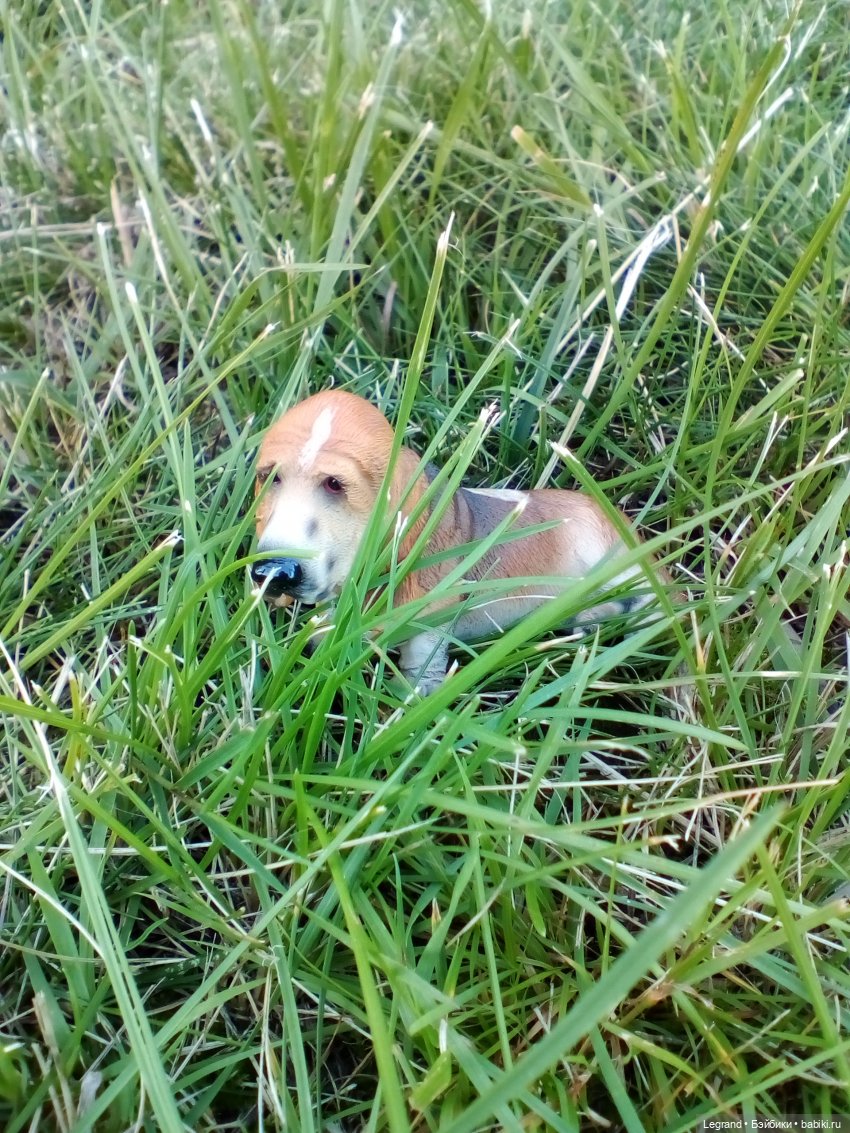 Петербург. Парадный квартал. Астрид и Отто. Часть вторая