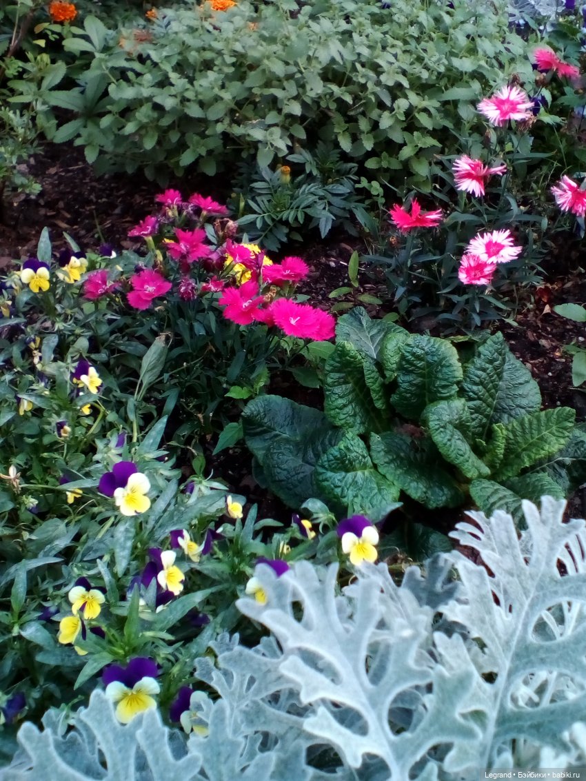 Петербург. Парадный квартал. Астрид и Отто. Часть вторая