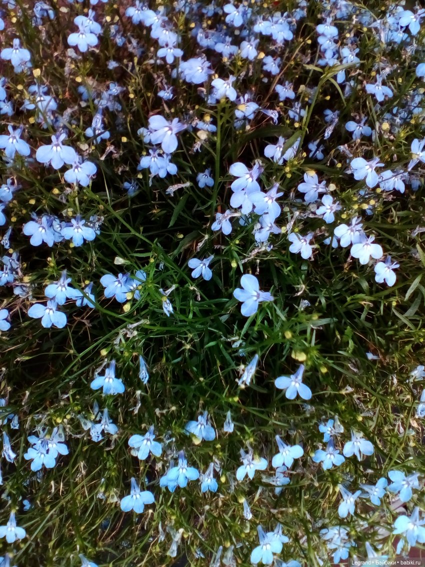 Петербург. Парадный квартал. Астрид и Отто. Часть вторая