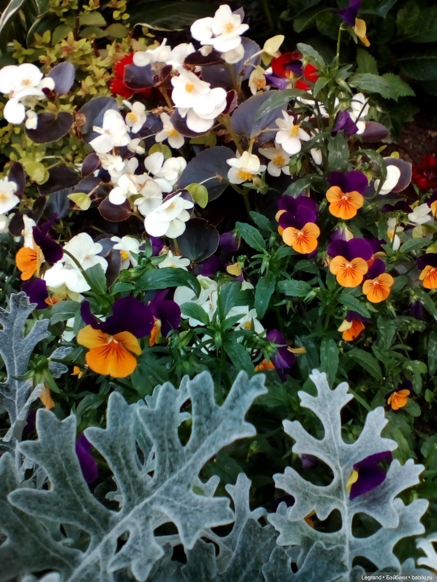 Петербург. Парадный квартал. Астрид и Отто. Часть вторая