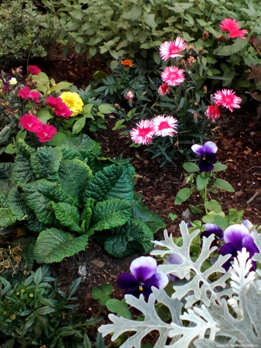 Петербург. Камиль и Джесур в Парадном квартале