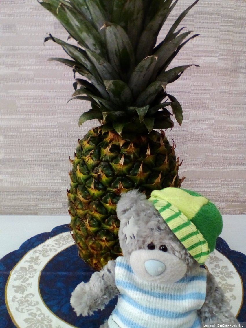 Мишки и ананас. Часть первая (фото 5)