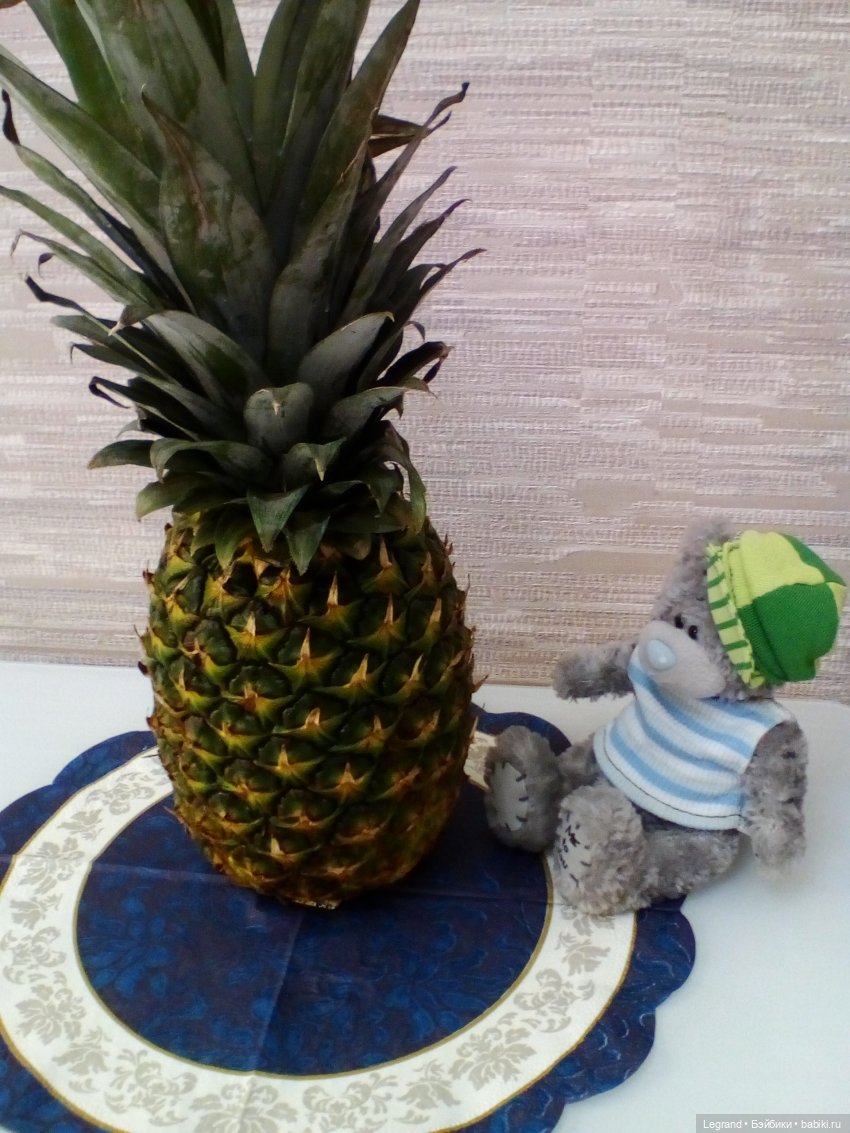 Мишки и ананас. Часть первая