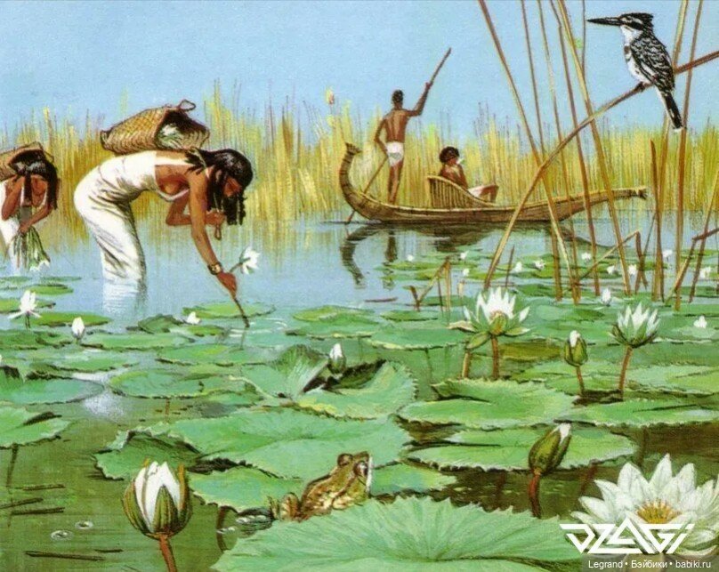 Они сами пишут свои истории: откуда в Лурении берутся дети, или Ребёнок, ты чей