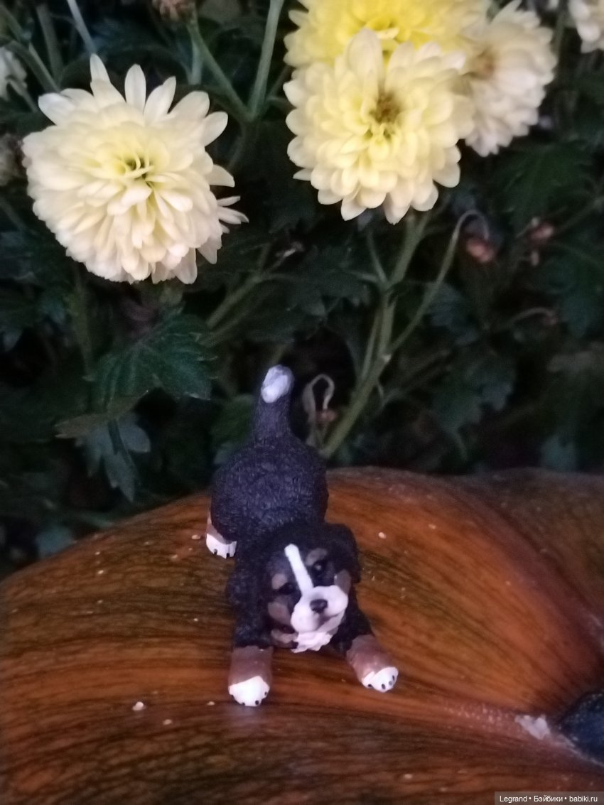 Петербург. Парадный квартал. Джесур и осень