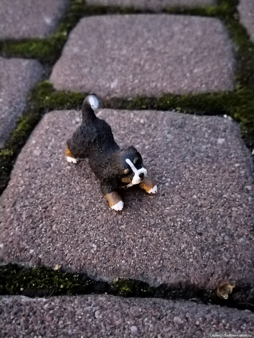 Петербург. Парадный квартал. Джесур и осень