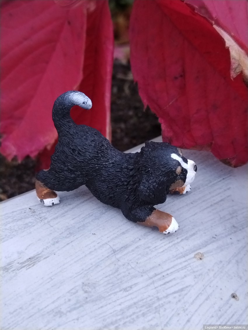 Петербург. Парадный квартал. Джесур и осень (фото 6)