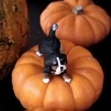 Петербург. Парадный квартал. Джесур и осень