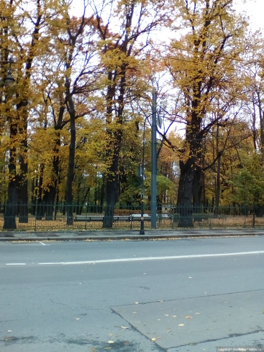 Осенний Петербург. Лукум и Милош в Парадном квартале