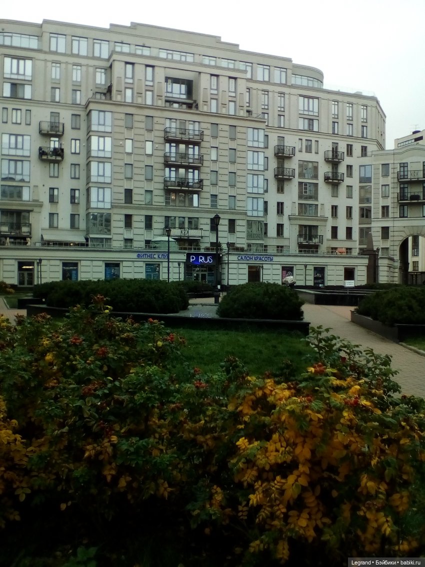 Осенний Петербург. Лукум и Милош в Парадном квартале (фото 5)