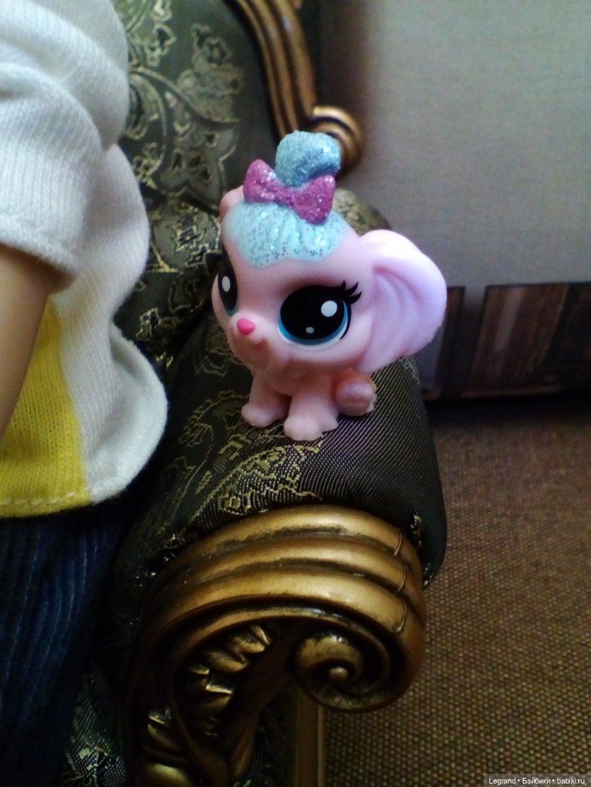 Они сами пишут свои истории: Гай и Карамелька