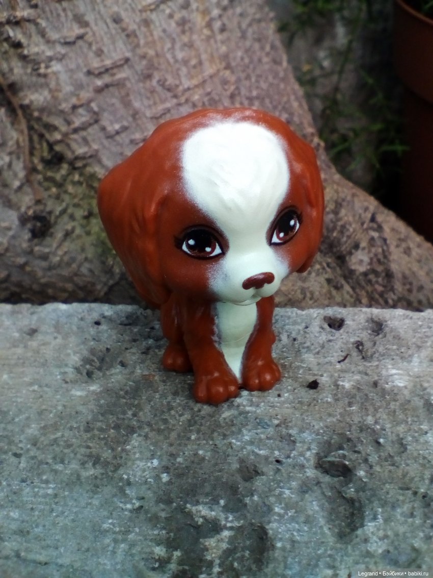 Петербург. Мармарис в Оранжерее Таврического сада. Часть вторая (фото 9)