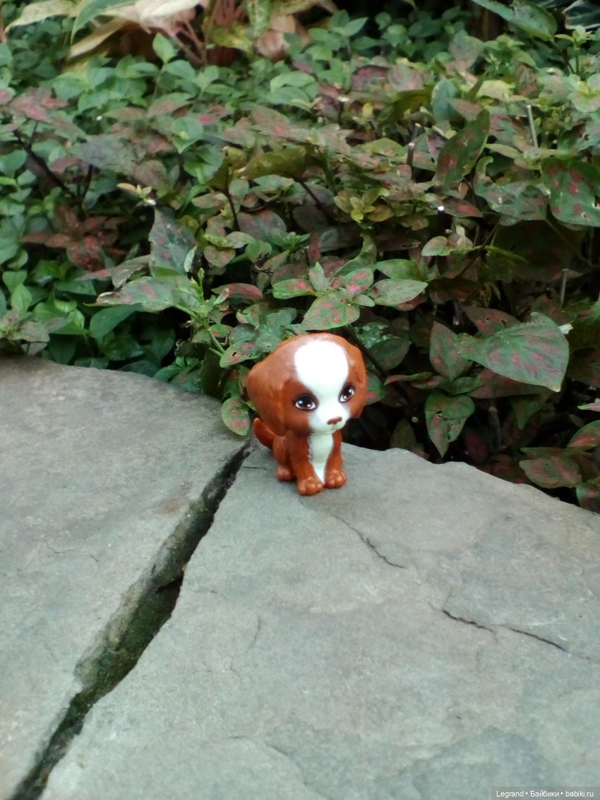 Петербург. Мармарис в Оранжерее Таврического сада. Часть вторая