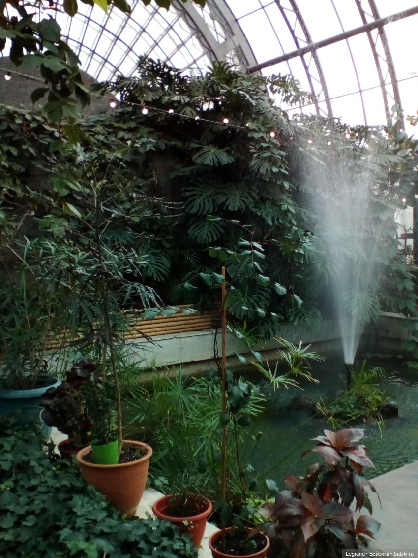 Петербург. Мармарис в Оранжерее Таврического сада. Часть вторая (фото 5)