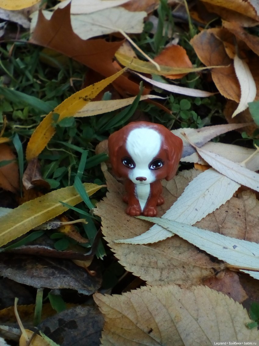 Петербург. Мармарис в Оранжерее Таврического сада. Часть вторая
