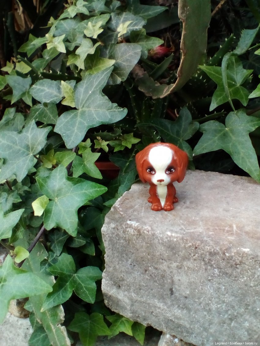 Петербург. Мармарис в Оранжерее Таврического сада. Часть первая (фото 8)