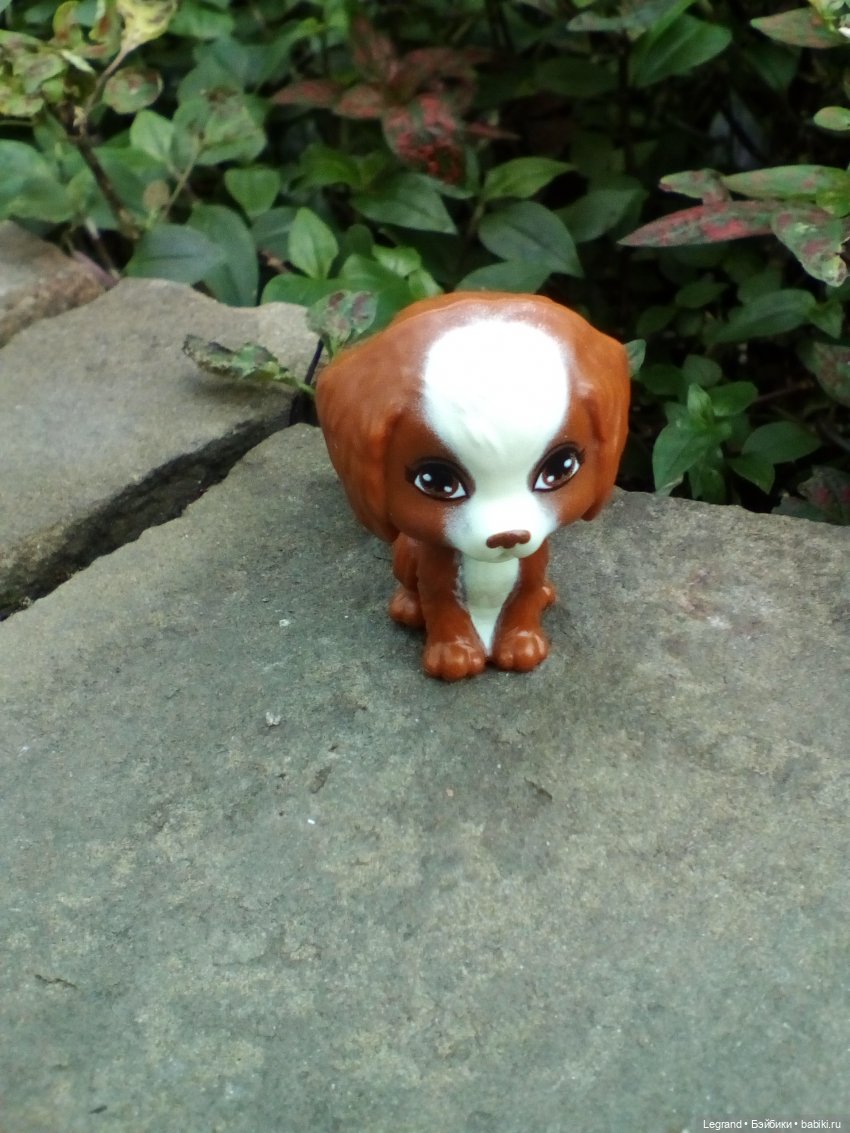 Петербург. Мармарис в Оранжерее Таврического сада. Часть вторая