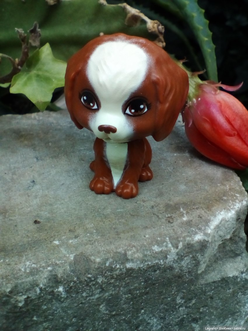 Петербург. Мармарис в Оранжерее Таврического сада. Часть вторая