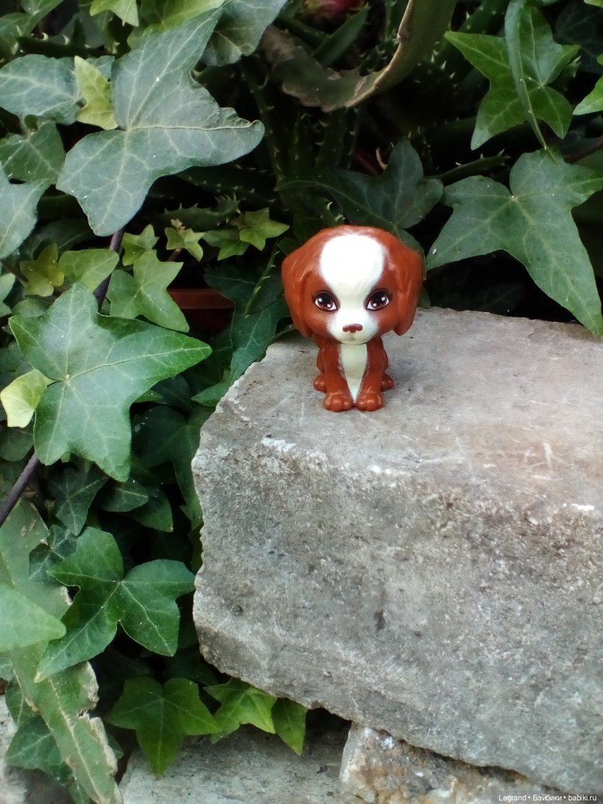 Петербург. Мармарис в Оранжерее Таврического сада. Часть первая (фото 7)