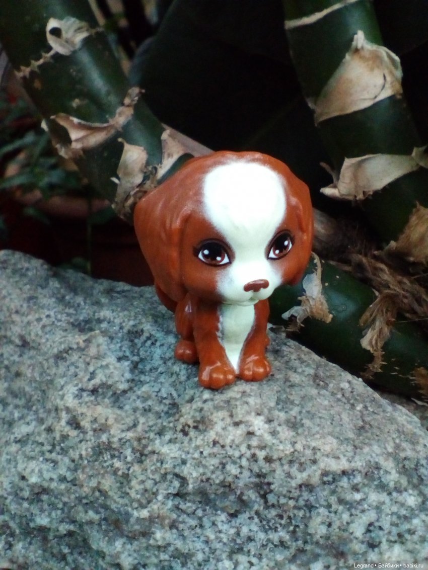 Петербург. Мармарис в Оранжерее Таврического сада. Часть вторая