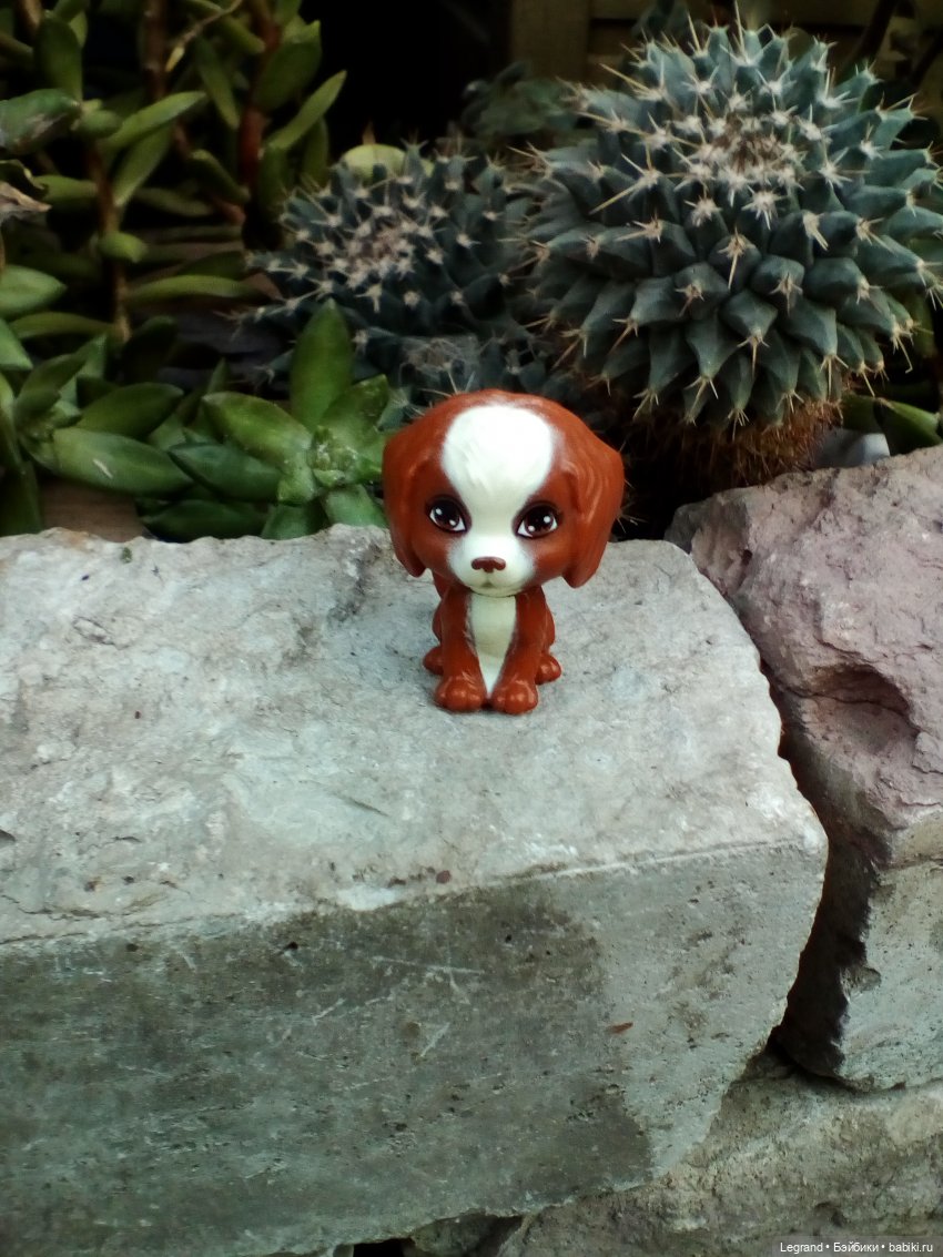 Петербург. Мармарис в Оранжерее Таврического сада. Часть первая (фото 5)