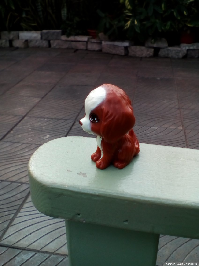 Петербург. Мармарис в Оранжерее Таврического сада. Часть вторая (фото 2)