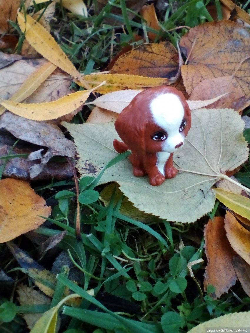 Петербург. Мармарис в Оранжерее Таврического сада. Часть вторая