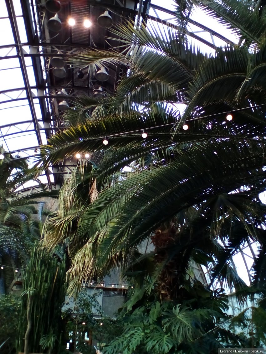 Петербург. Мармарис в Оранжерее Таврического сада. Часть первая