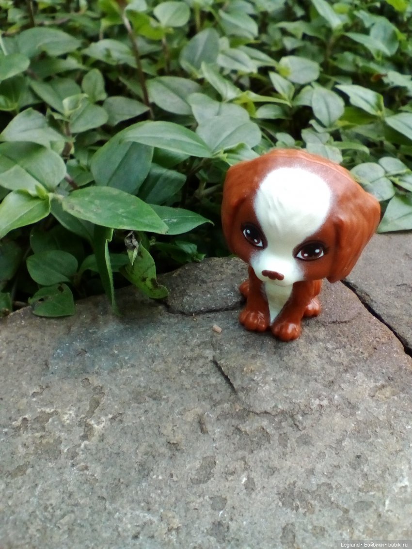 Петербург. Мармарис в Оранжерее Таврического сада. Часть вторая